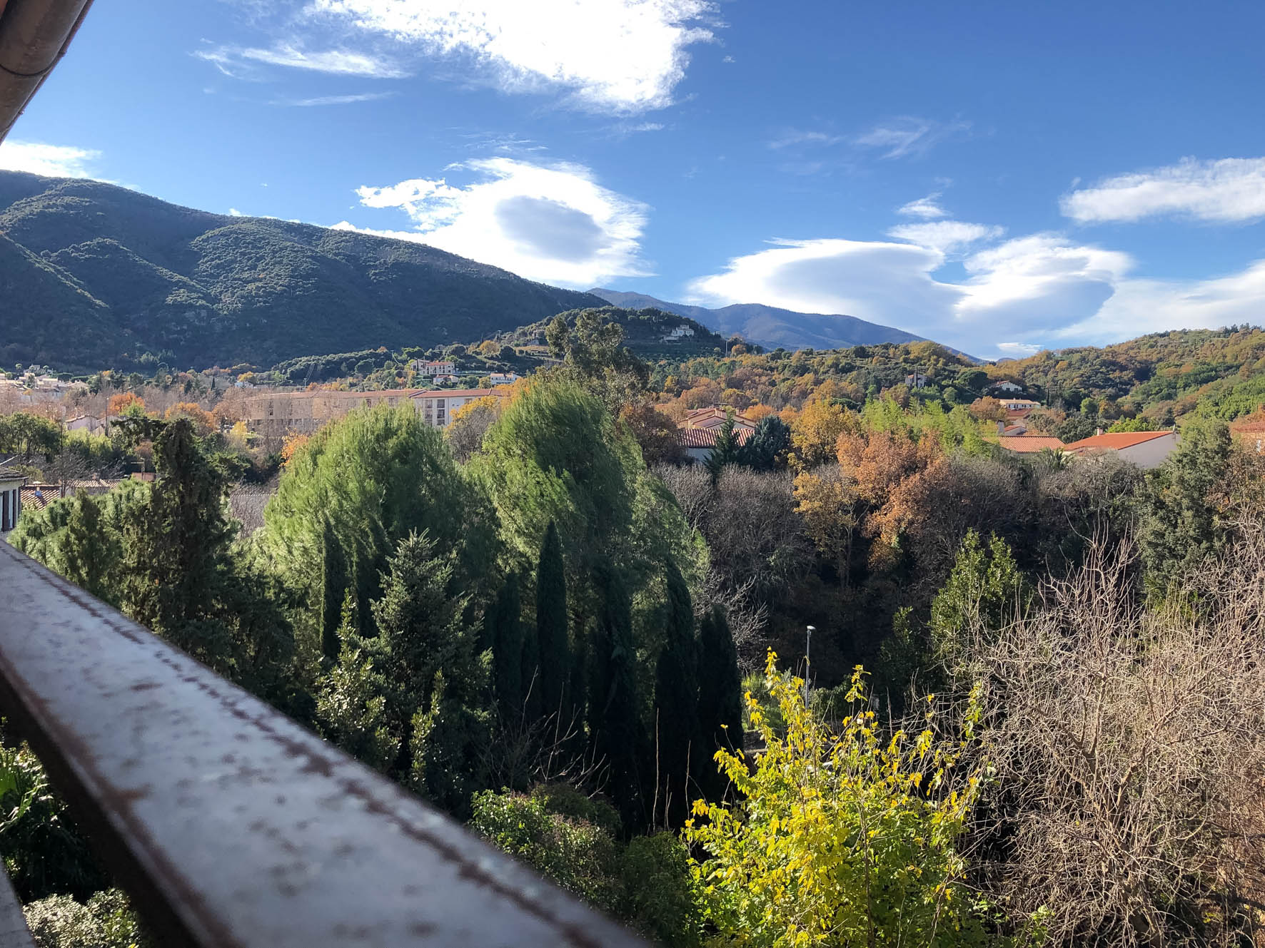 Uitzicht vanuit Duplex 77 over de bomen van Céret naar de bergen